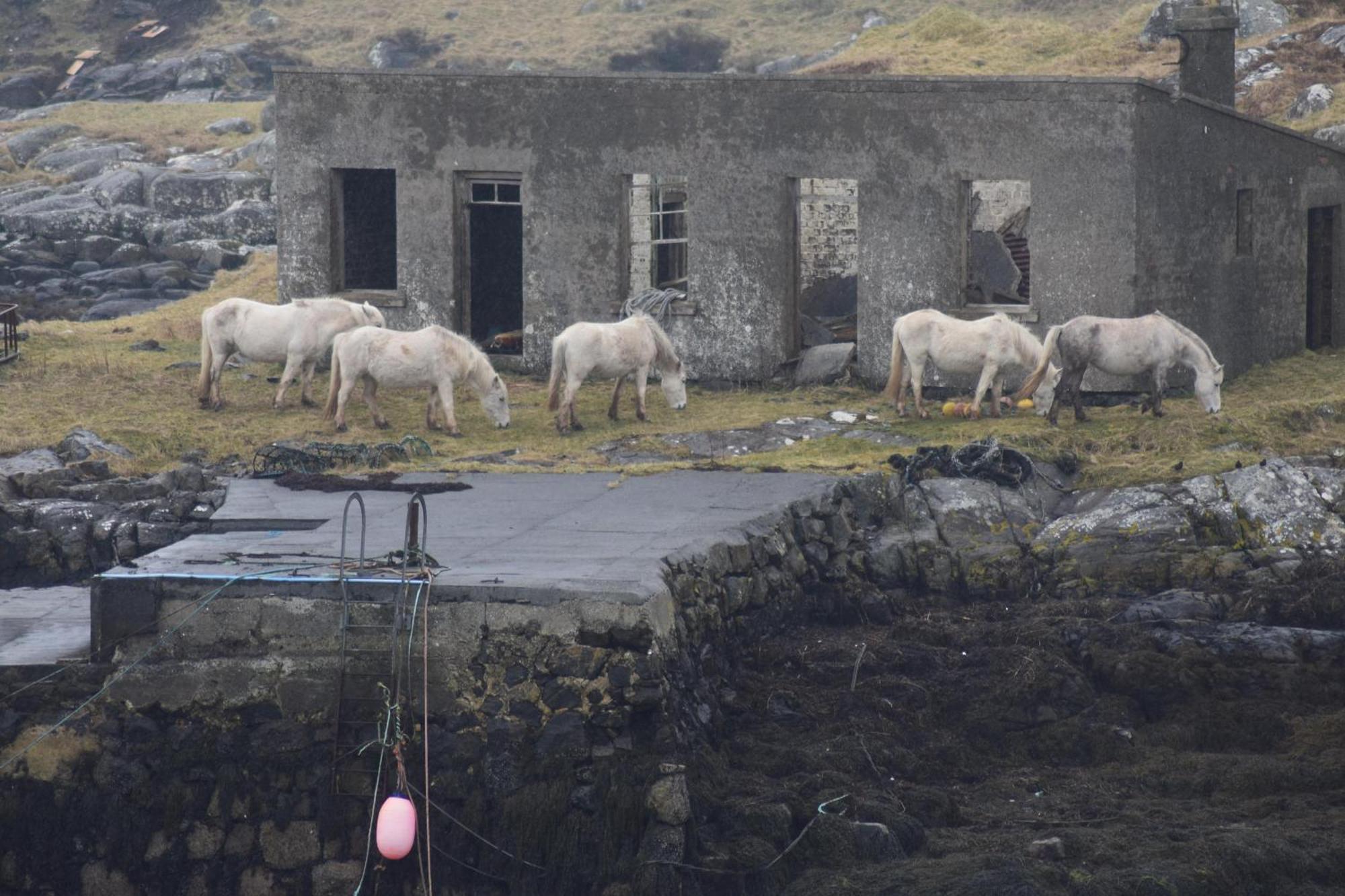 Glamping Pod For 2 Pod Beag Na Haun Eriskay Vila Exterior foto