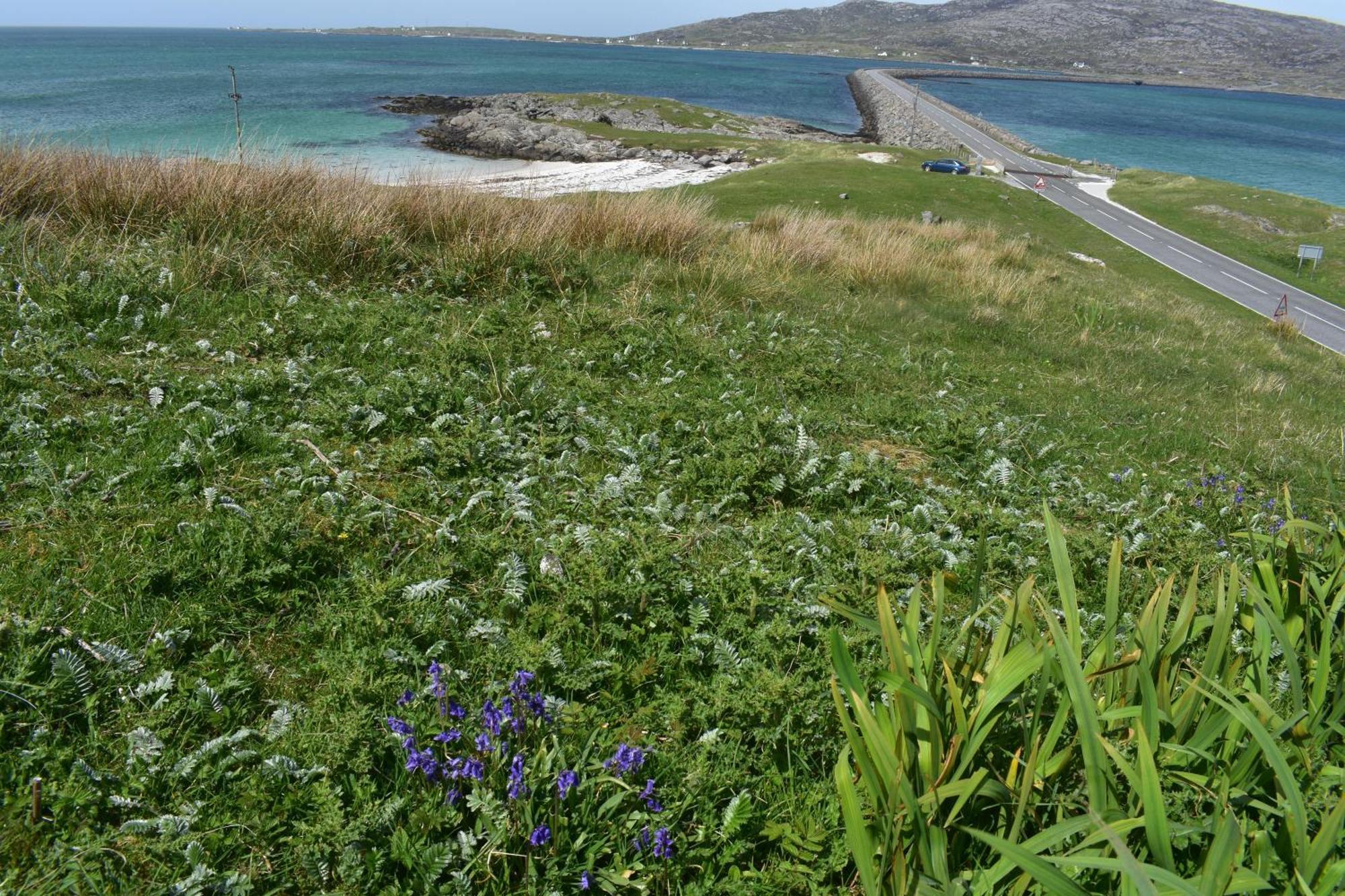 Glamping Pod For 2 Pod Beag Na Haun Eriskay Vila Exterior foto